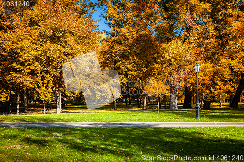 Image of Autumn  in park