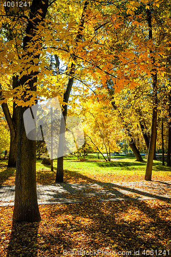 Image of Autumn in park