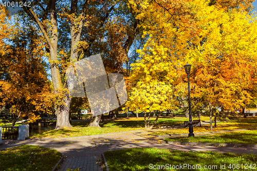 Image of Autumn in park