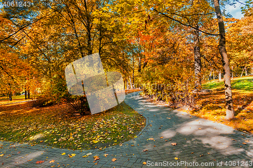 Image of Autumn in park