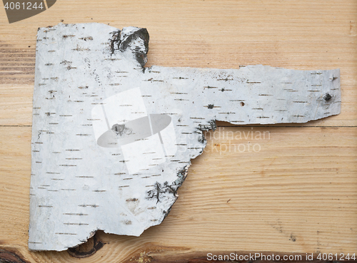 Image of birch bark