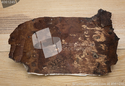 Image of birch bark