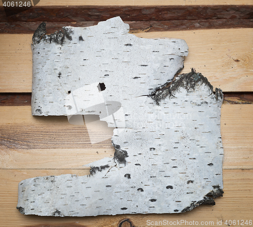 Image of birch bark