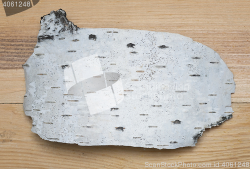 Image of birch bark