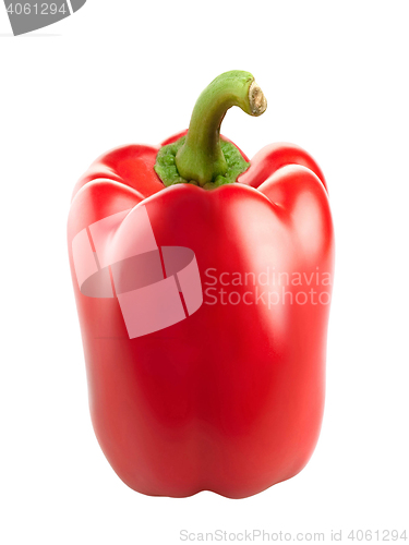Image of Red paprica isolated