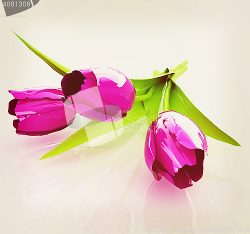Image of Tulip flower. 3D illustration. Vintage style.