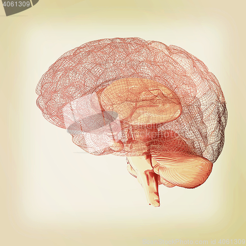 Image of Creative concept of the human brain. 3D illustration. Vintage st