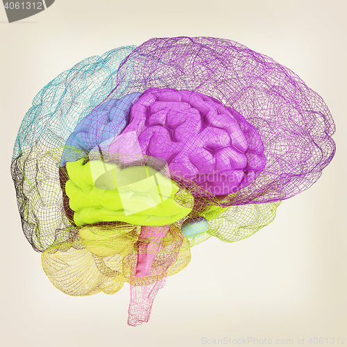 Image of Creative concept of the human brain. 3D illustration. Vintage st