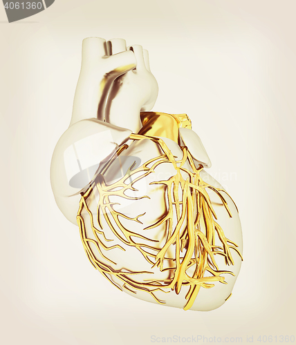 Image of Human heart. 3D illustration. Vintage style.