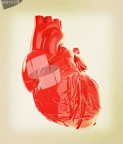 Image of Human heart. 3D illustration. Vintage style.