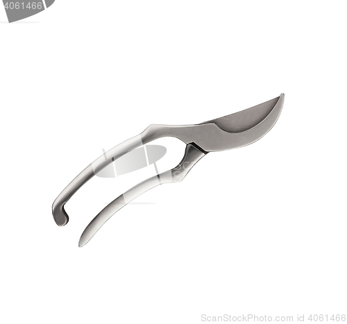 Image of single pruner isolated 