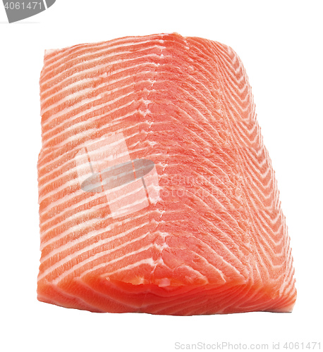 Image of salmon steak red fish on white