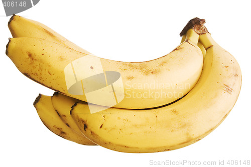 Image of Bananas on white