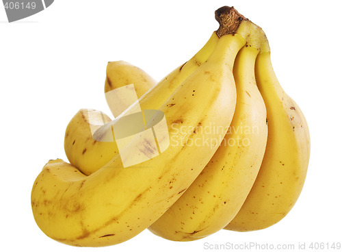 Image of Bananas