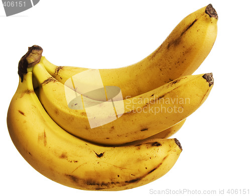 Image of Bananas on white