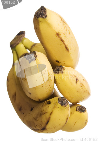 Image of Bananas