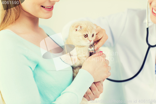 Image of close up of vet with stethoscope and cat at clinic