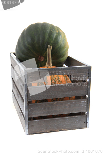 Image of pumpkins in the wooden box