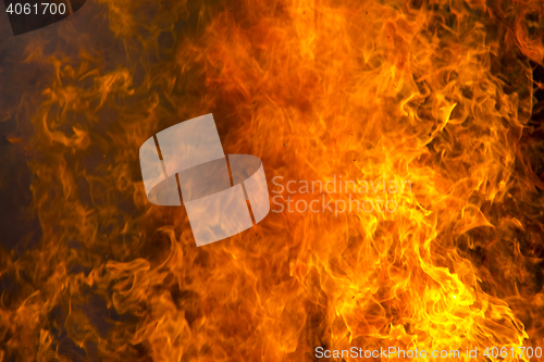 Image of Outdoor burning fire and open flame