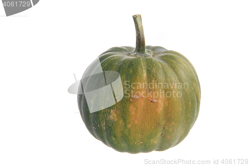 Image of green pumpkin isolated