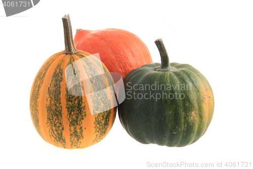 Image of three pumpkins isolated