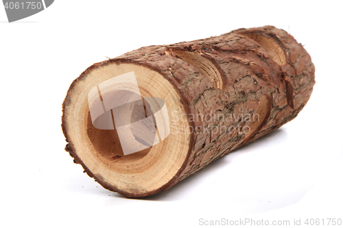 Image of mouse home from trunk