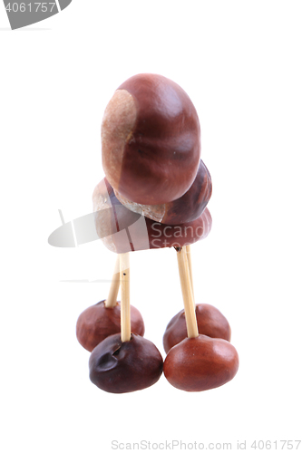 Image of chestnuts animal isolated