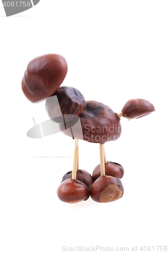 Image of chestnuts animal isolated