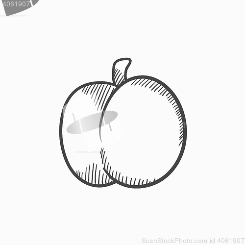 Image of Plum with leaf sketch icon.