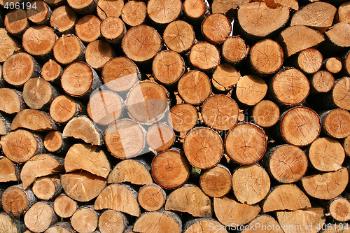 Image of Firewood