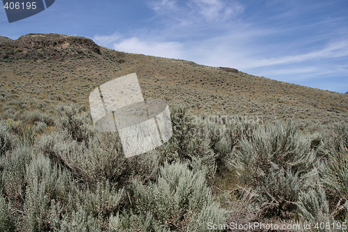 Image of Steppe in Canada