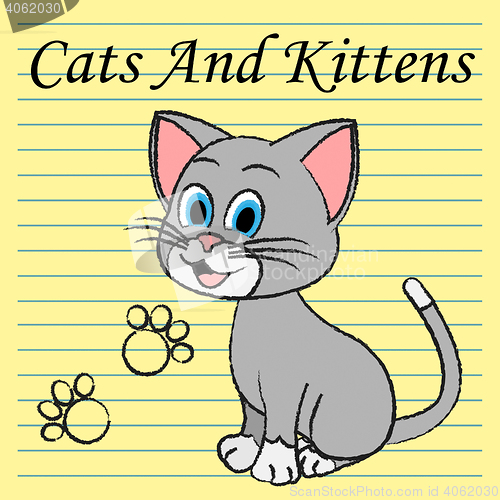 Image of Cats Kittens Shows Kitty Puss And Feline