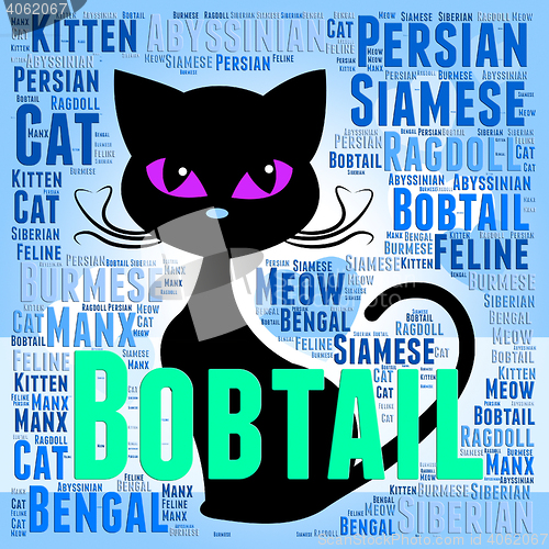 Image of Bobtail Cat Represents Puss Mating And Reproducing