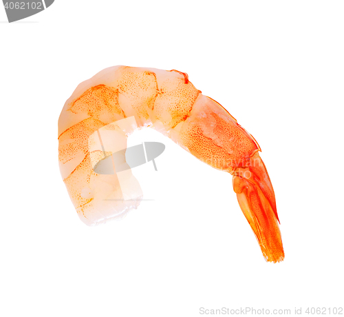 Image of tiger shrimp isolated on white