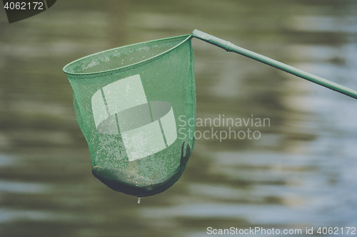 Image of Fish caught in a green fishing net