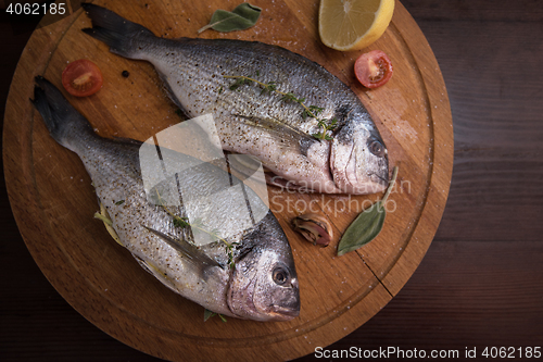 Image of Fresh uncooked dorado