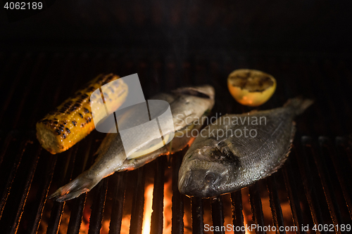 Image of Grilled dorado fish