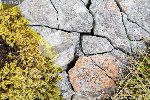 Image of Frost leaves Destructive Patterns in a Stone