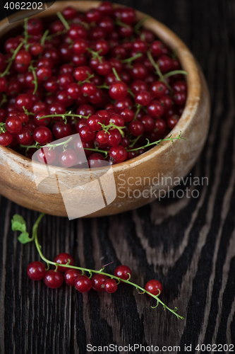 Image of Fresh red currants