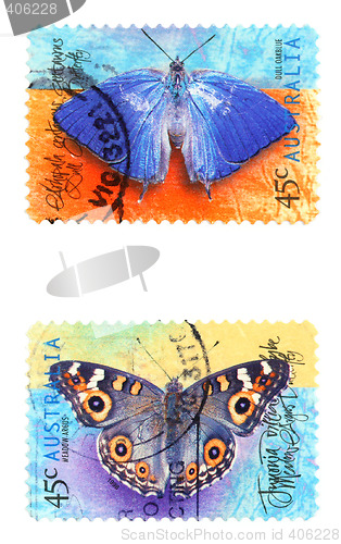 Image of Butterflies