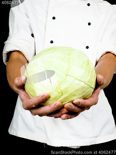 Image of Professional chef holding a whole head of cabbage towards