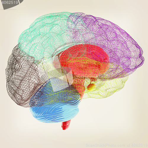 Image of Creative concept of the human brain. 3D illustration. Vintage st