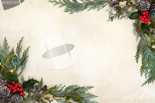 Image of Winter Greenery Border