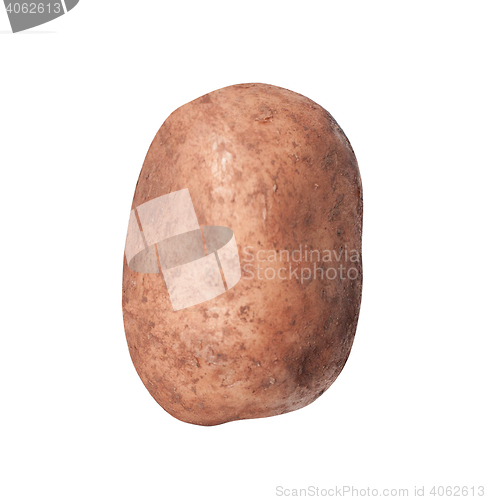 Image of potato on white background