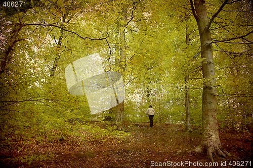 Image of Postcard from Denmark (Series)