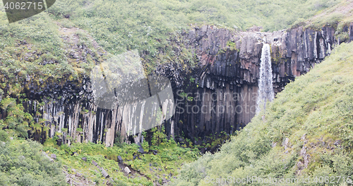 Image of Svartifoss (Black Fall), Skaftafell, Iceland