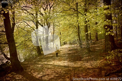 Image of Postcard from Denmark (Series)