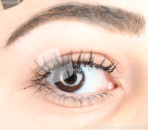 Image of Extreme closeup of a brown female eye with long lashes