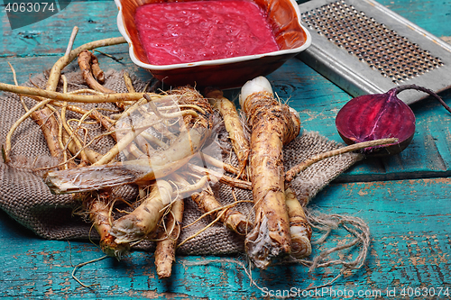 Image of Fresh horseradish roots