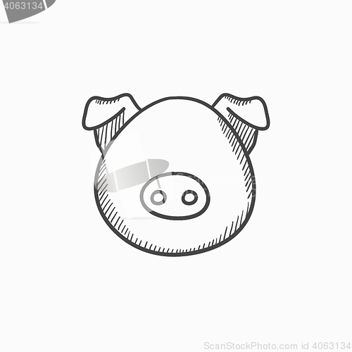 Image of Pig head sketch icon.